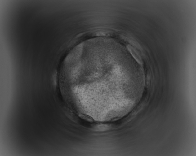 X0000099990413200806061548