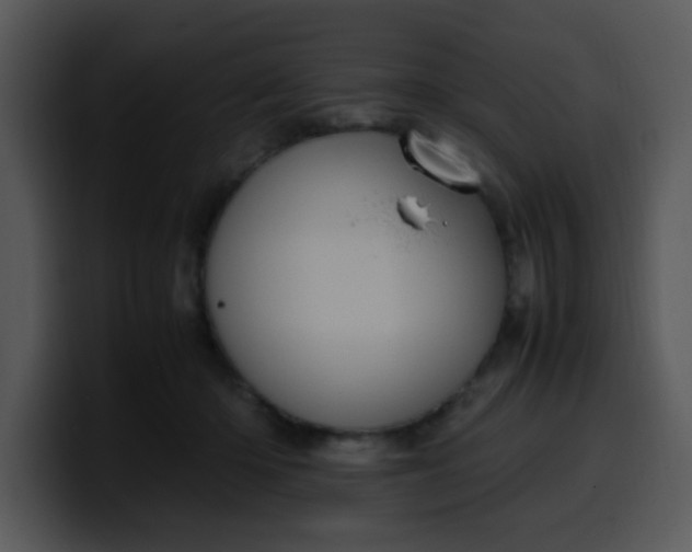 X0000099990414200806061548