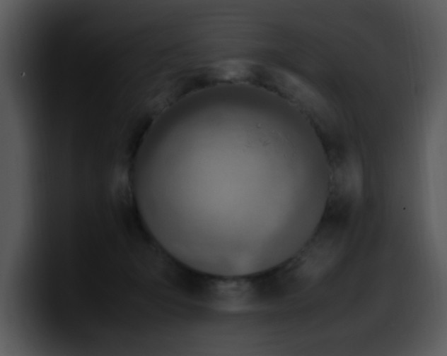 X0000099990415200806061548