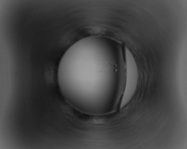 X0000099990416200806061548