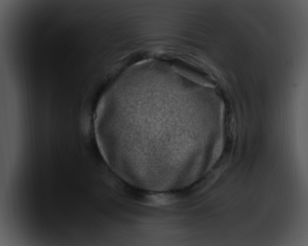 X0000099990417200806061548