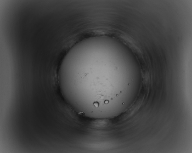 X0000099990418200806061548