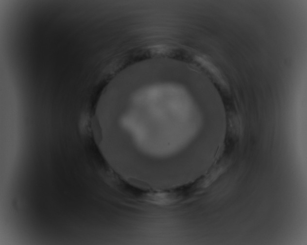 X0000099990419200806061548