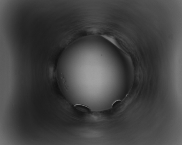 X0000099990420200806061548