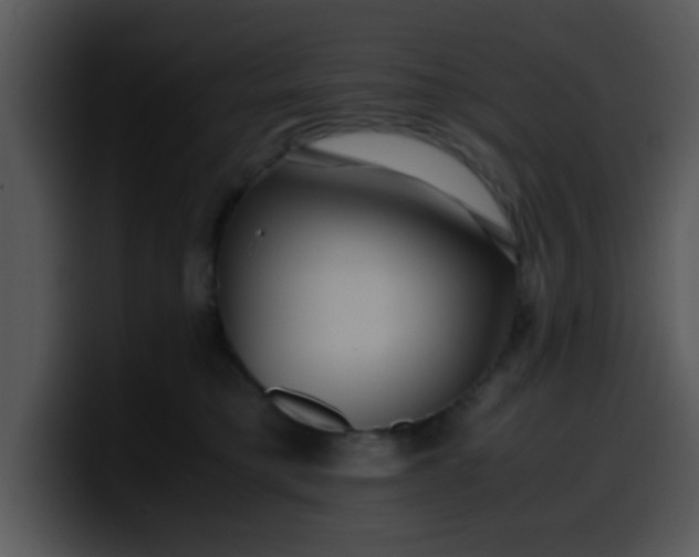 X0000099990421200806061548