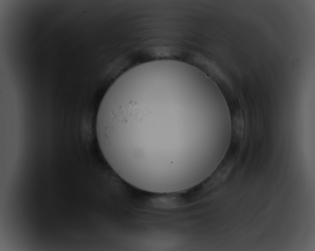 X0000099990422200806061548