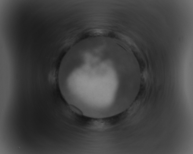 X0000099990423200806061548