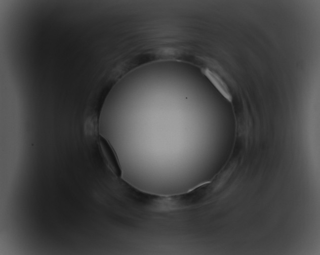 X0000099990425200806061548