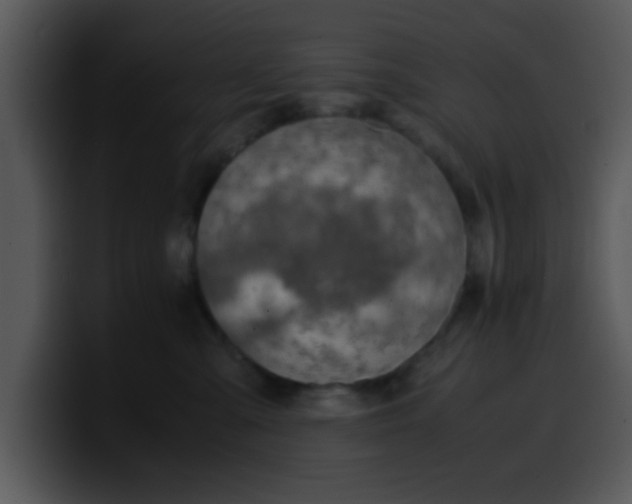 X0000099990427200806061548