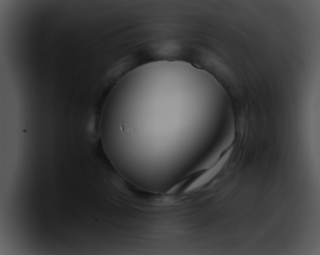 X0000099990428200806061548