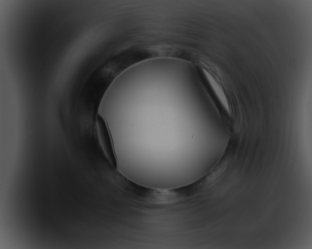 X0000099990429200806061548