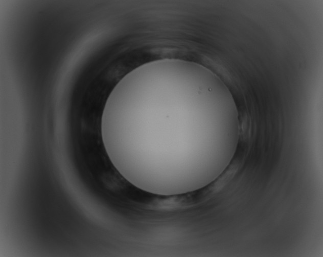 X0000099990430200806061548