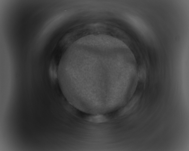 X0000099990431200806061548