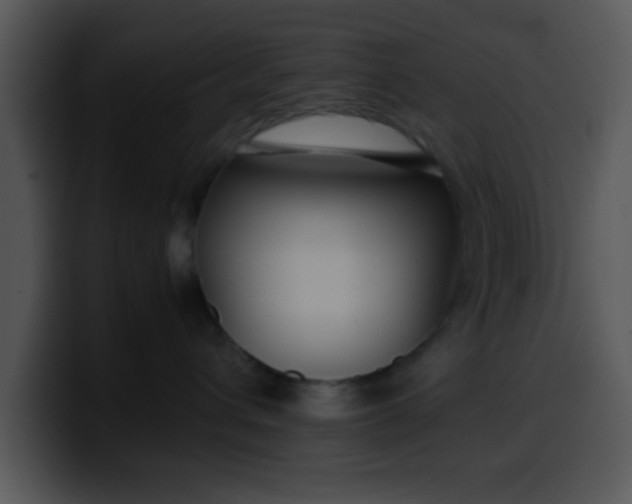 X0000099990432200806061548