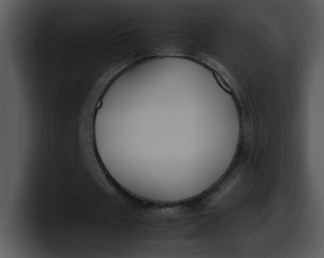 X0000099990433200806061547