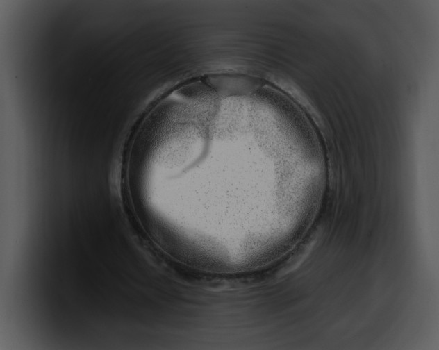 X0000099990434200806061547