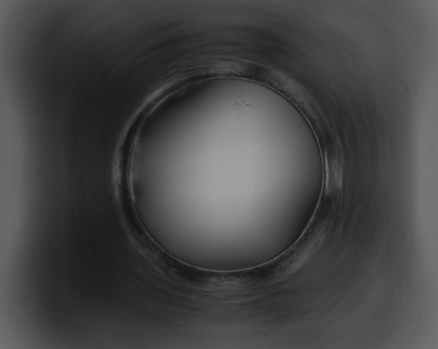 X0000099990435200806061547