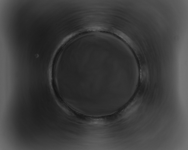 X0000099990438200806061547