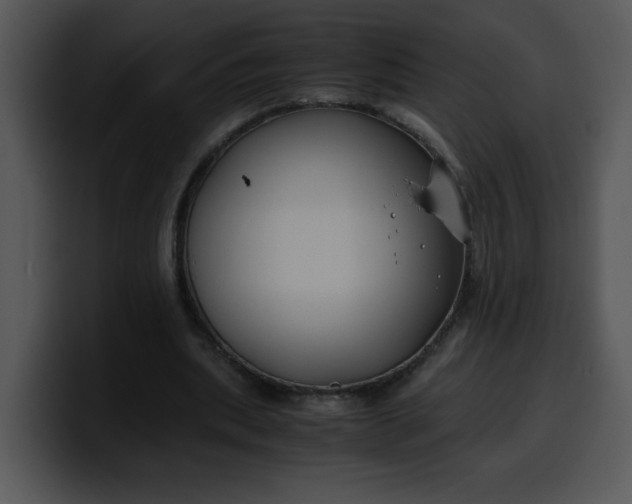 X0000099990439200806061547