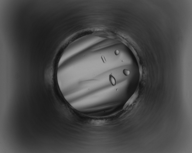 X0000099990440200806061547