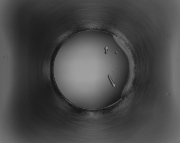 X0000099990442200806061547