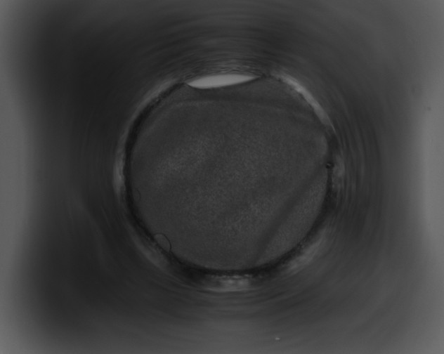 X0000099990443200806061547