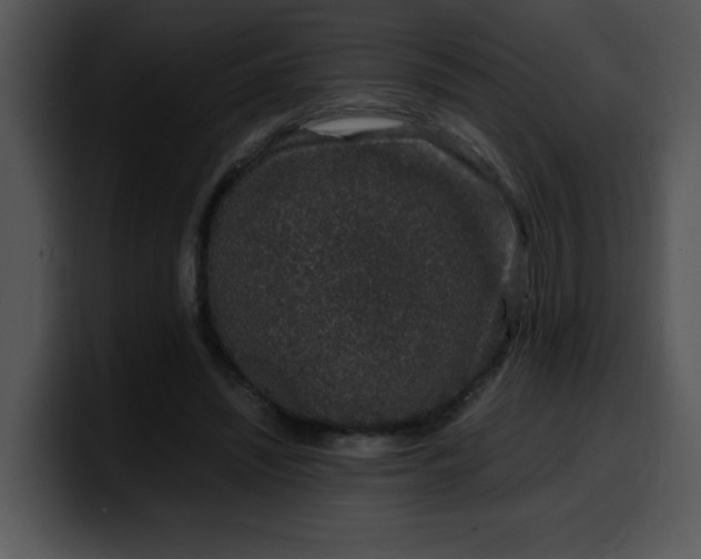 X0000099990444200806061547