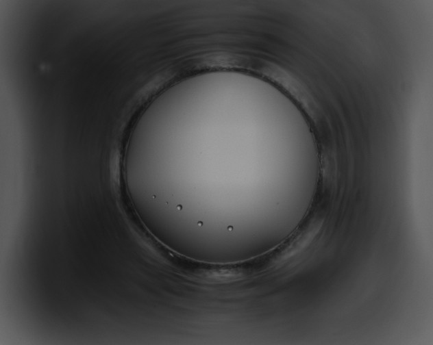 X0000099990445200806061547