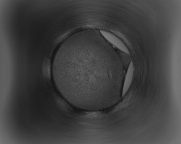 X0000099990446200806061547