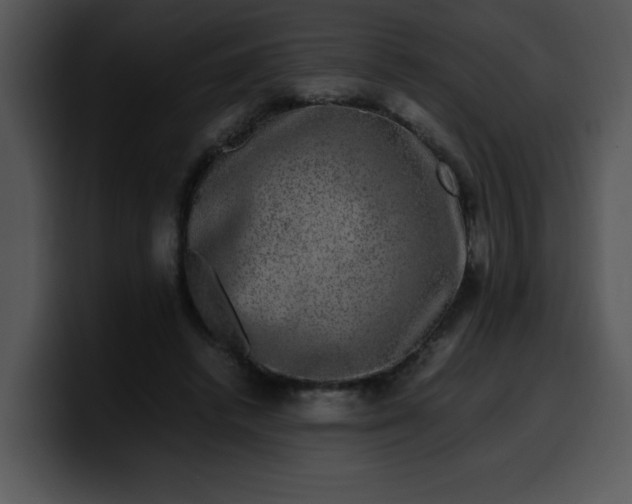 X0000099990448200806061548