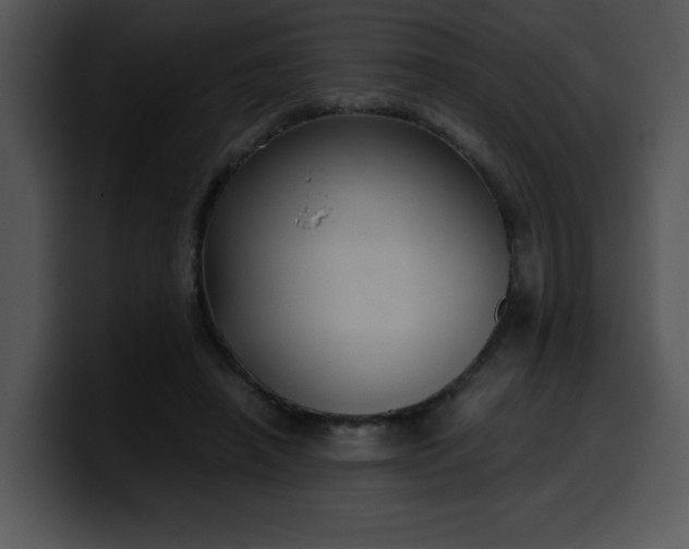 X0000099990450200806061548