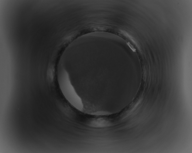 X0000099990451200806061548