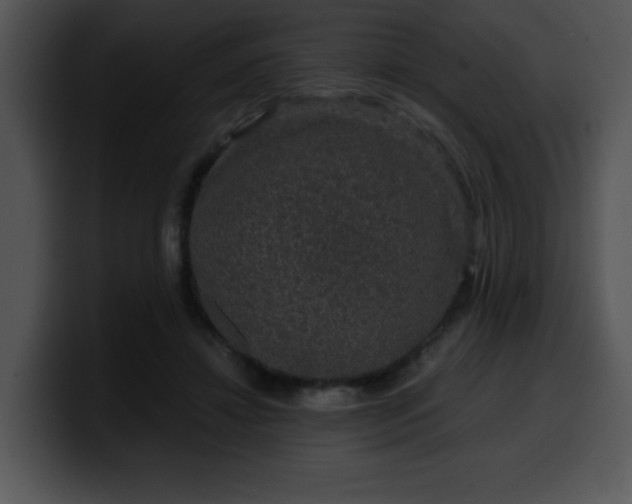 X0000099990452200806061548