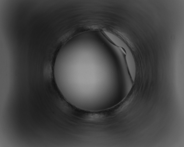 X0000099990453200806061548