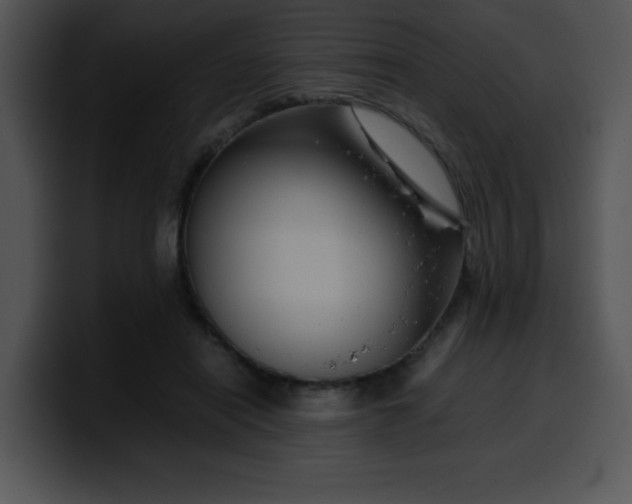 X0000099990454200806061548