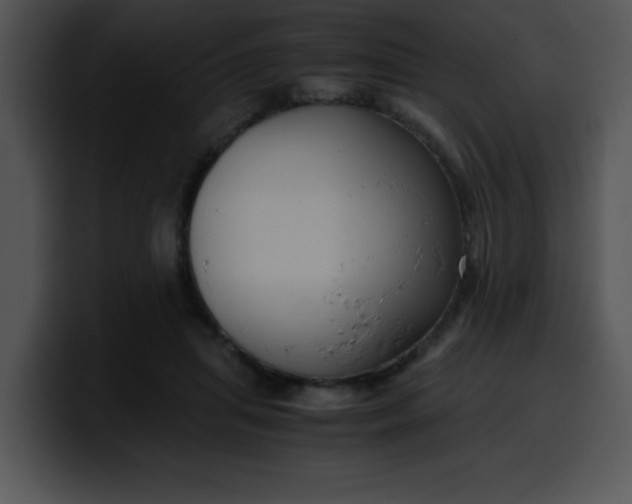 X0000099990455200806061548