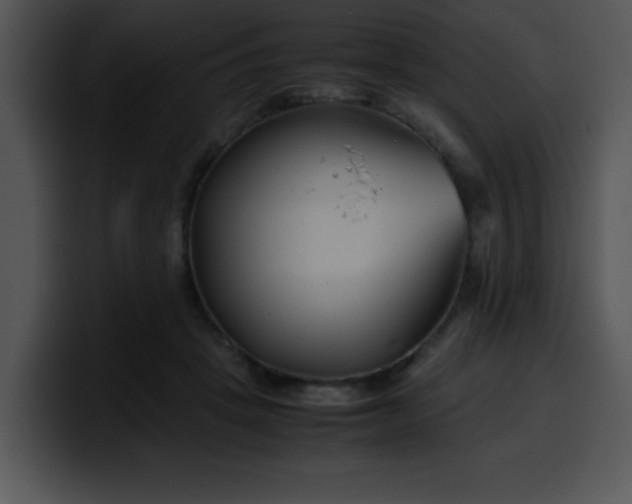 X0000099990457200806061548