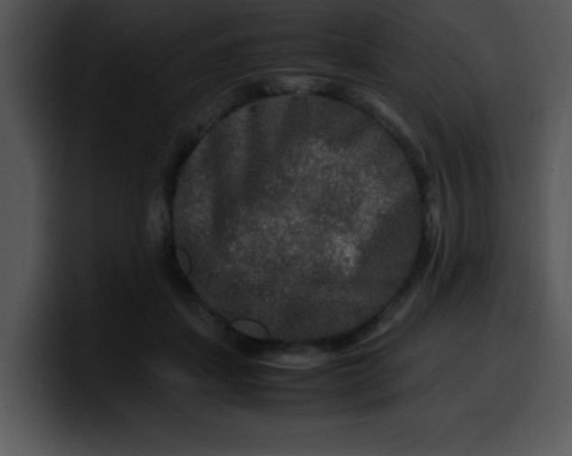 X0000099990459200806061548