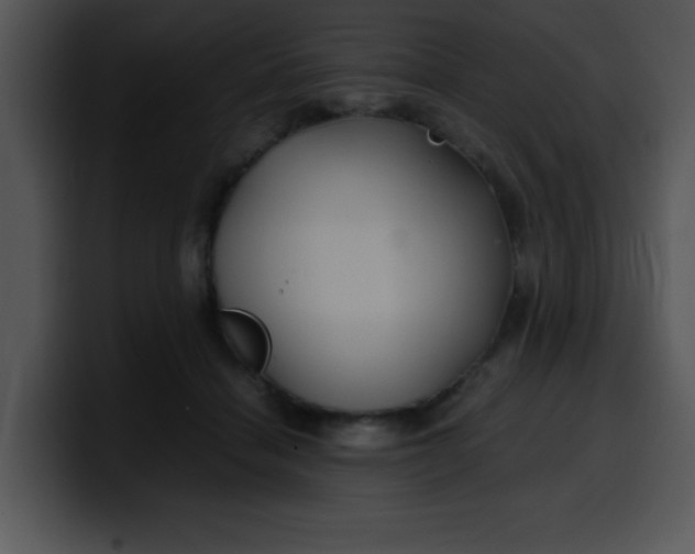 X0000099990460200806061548