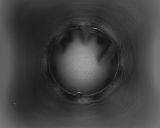 X0000099990461200806061548