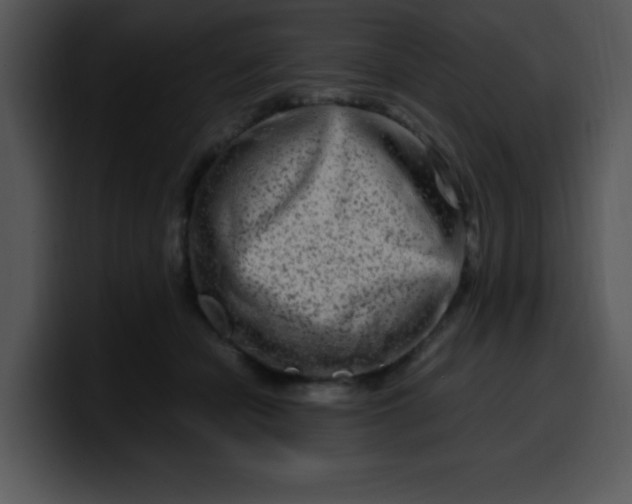 X0000099990462200806061548