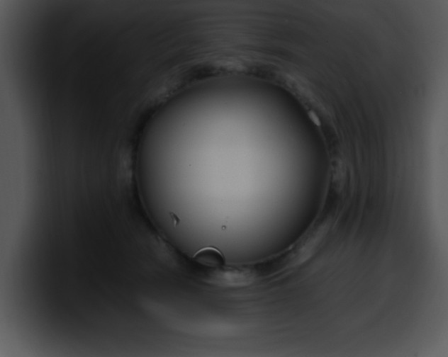 X0000099990466200806061548