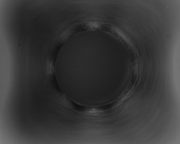 X0000099990467200806061548