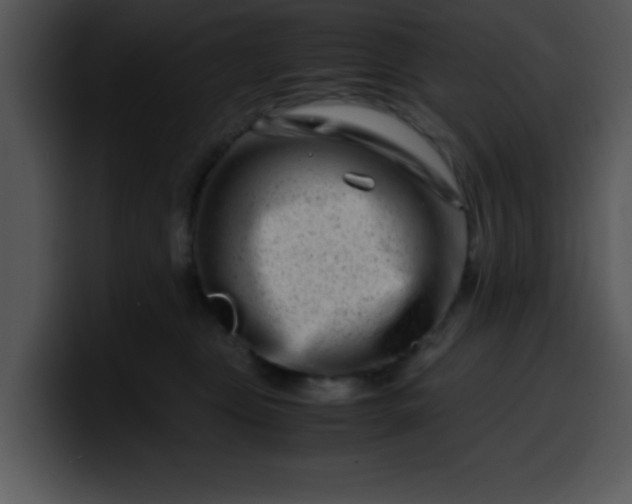 X0000099990469200806061548