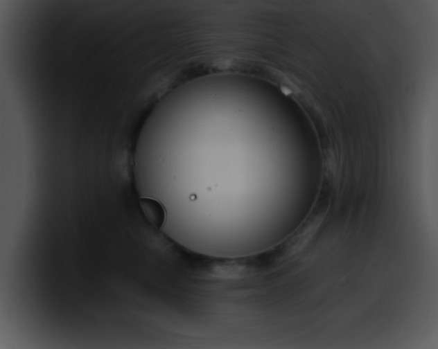 X0000099990470200806061548