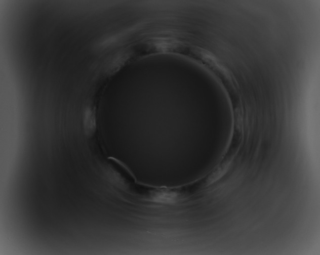 X0000099990471200806061548