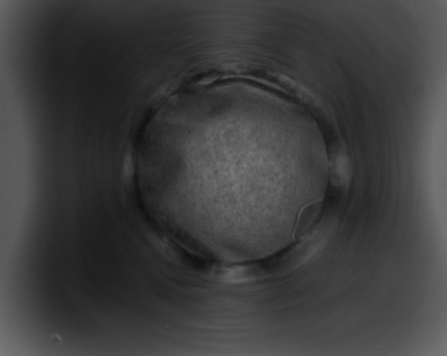 X0000099990472200806061548