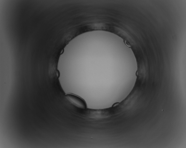 X0000099990473200806061548