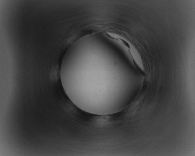 X0000099990474200806061548