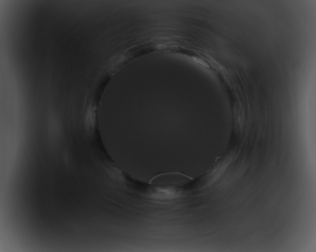 X0000099990475200806061548